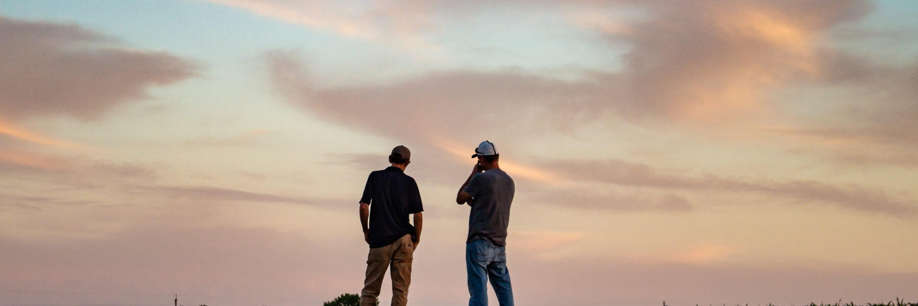 Build Your Dream IntelliPlanter